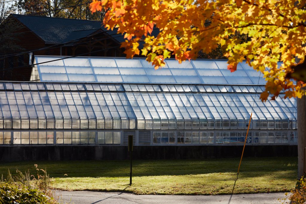 Photo Credit: Matthew Septimus